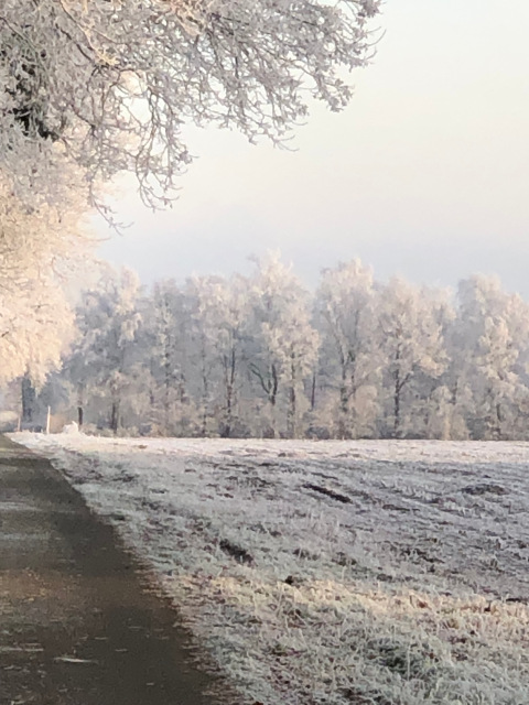 auch auf'm land