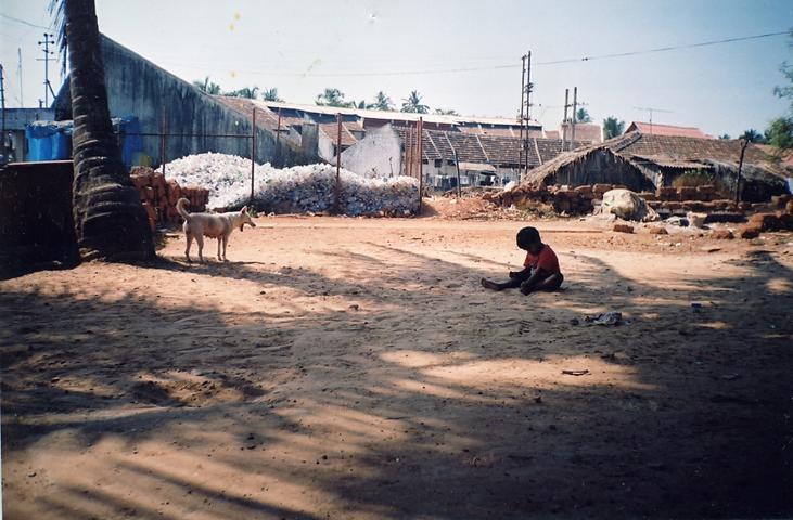 bild eines jungen und eines hundes, die im schatten sind. aufgenommen in colva, goa