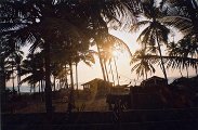 guesthouse fishermans in goa